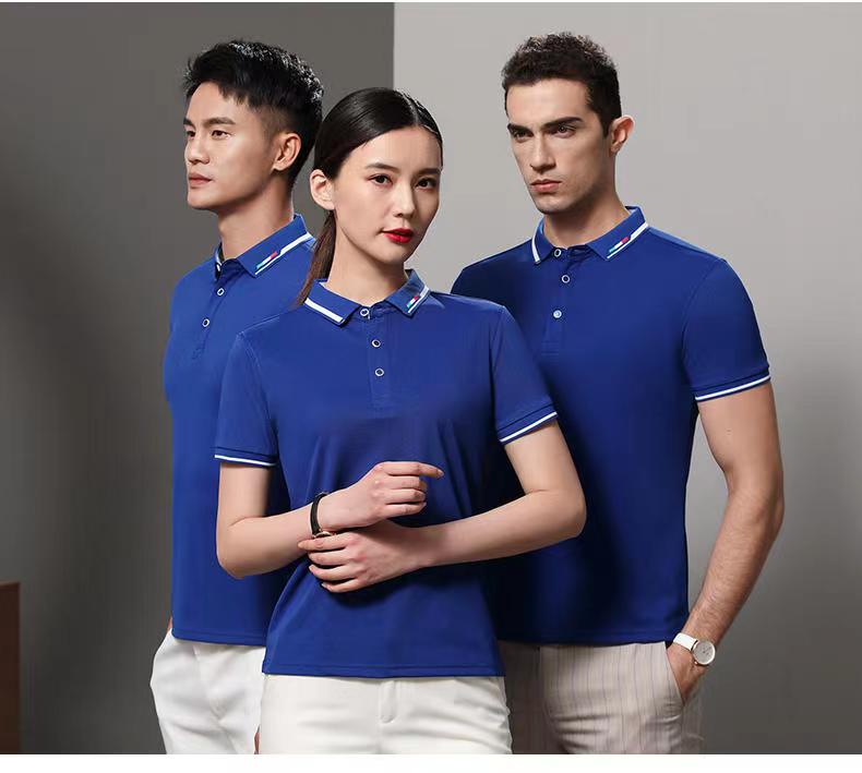 POLO�����ƿ�ʽͼ