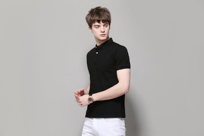 POLO�����ƿ�ʽͼ